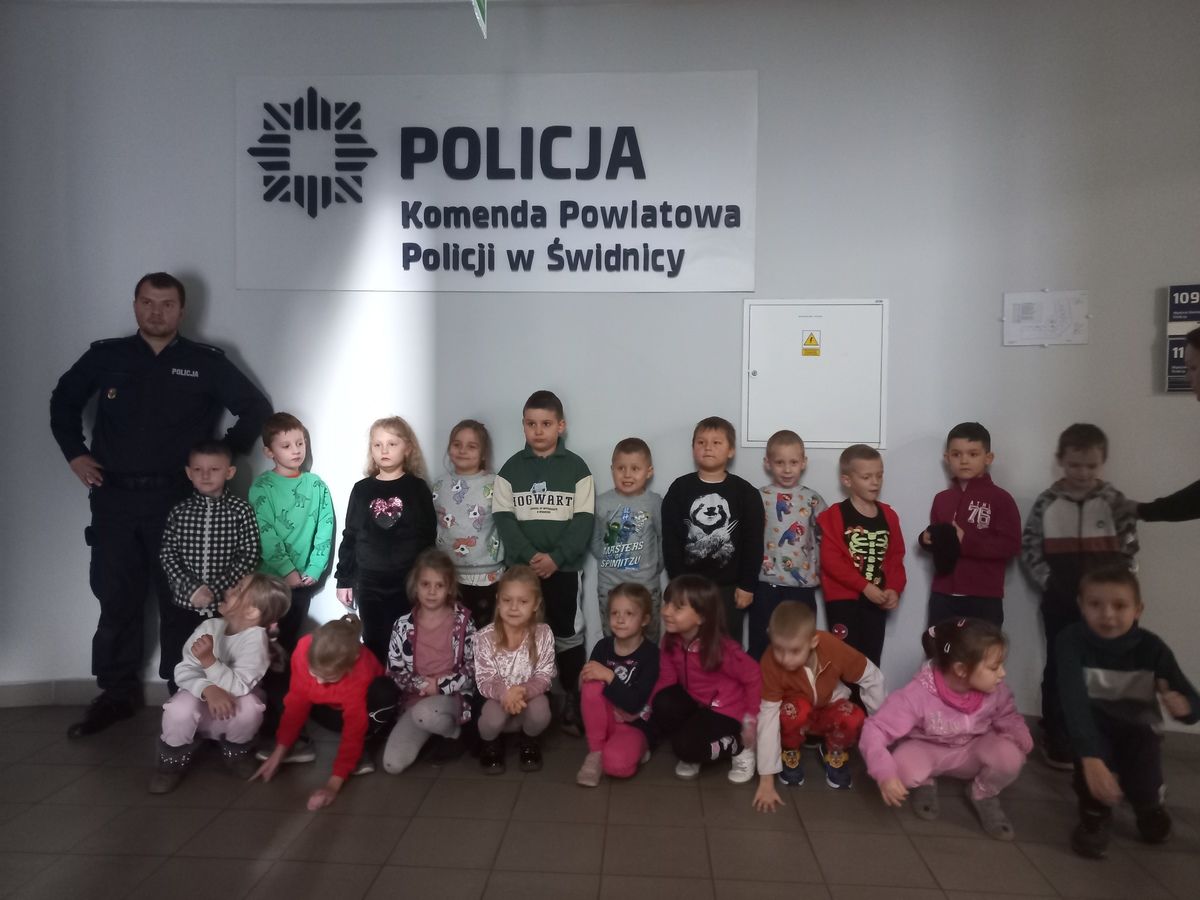 Świdnica: "Sówki" u policjantów