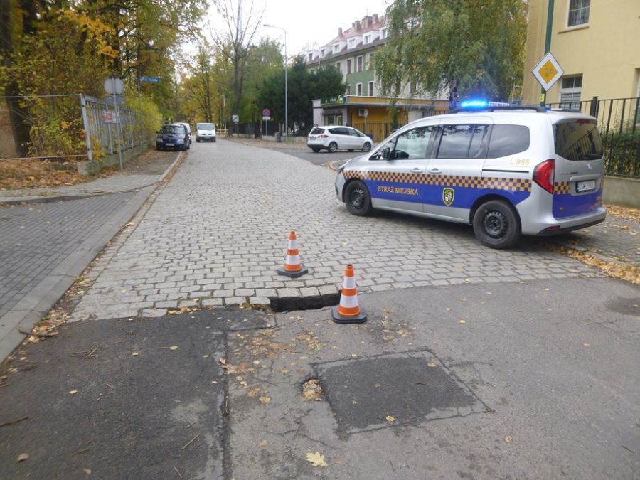Świdnica: Interwencji bez liku