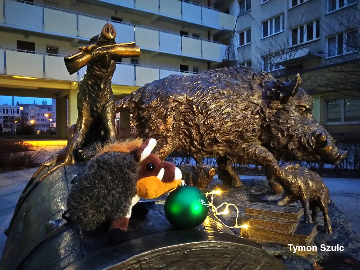 Świdnica: Konkurs fotograficzny