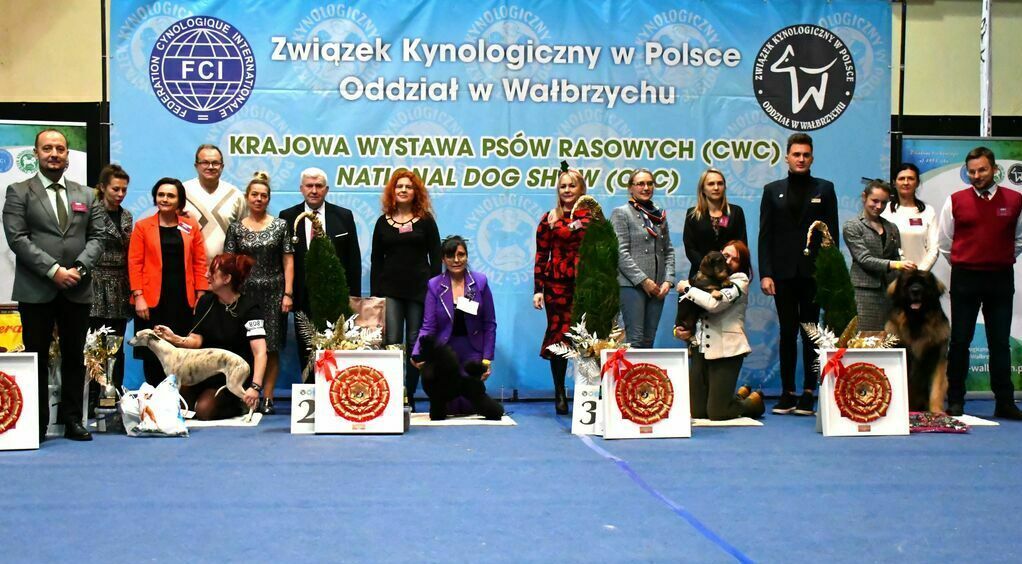 Świebodzice: Wystawa psów rasowych