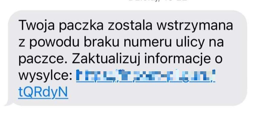 Świdnica: Drogo go to kosztowało