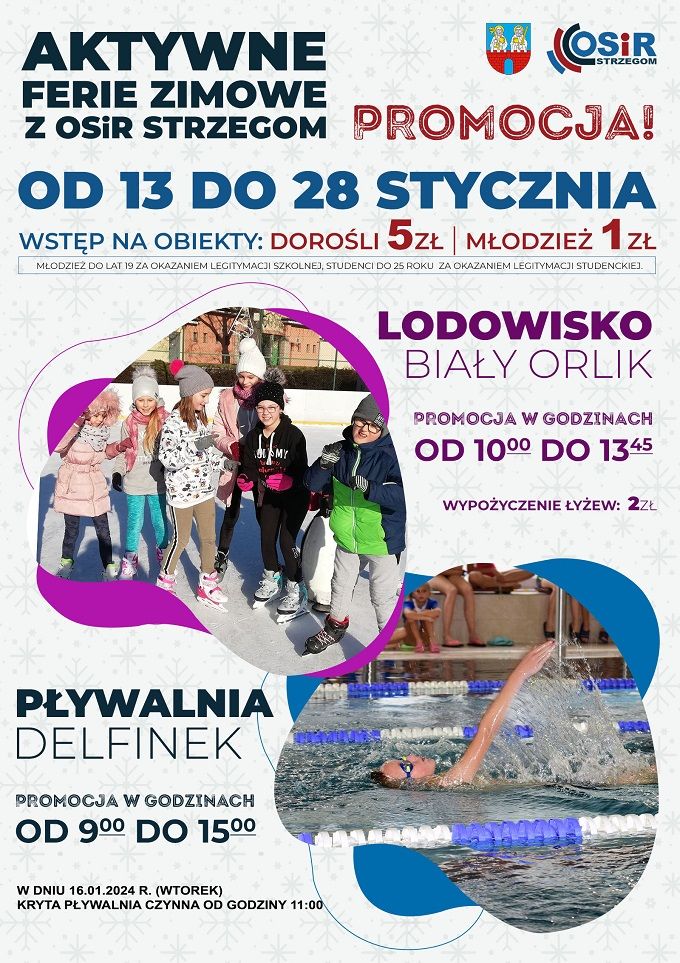 Gmina Strzegom: Ferie w Strzegomiu