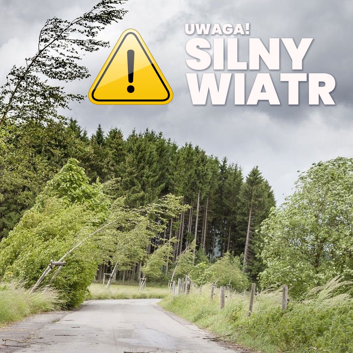 Świdnica/powiat świdnicki: Będzie wiało