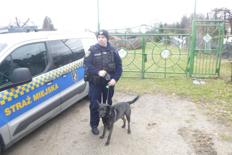 Świdnica: Interwencja za interwencją