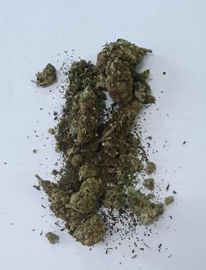 Świdnica: Poszukiwany i marihuana