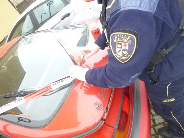 Świdnica: Było tego sporo