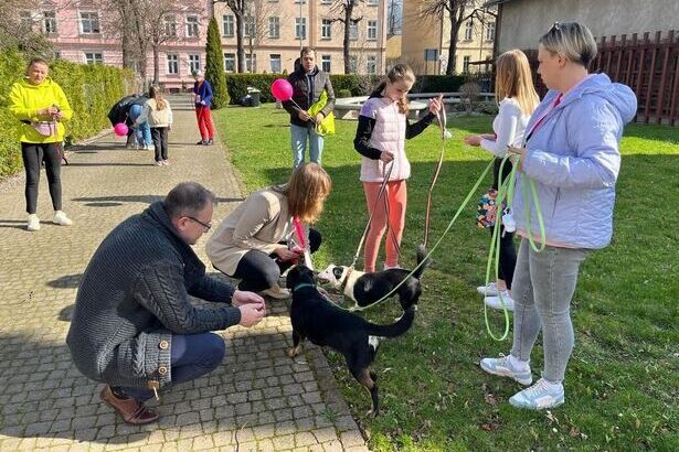 Świebodzice/Świdnica: Pomagają schronisku