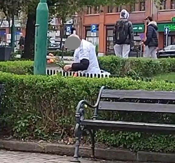 Świdnica: Słono zapłaci za tulipany...