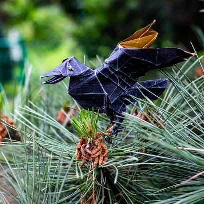 Gmina Żarów: Po Festiwalu Origami