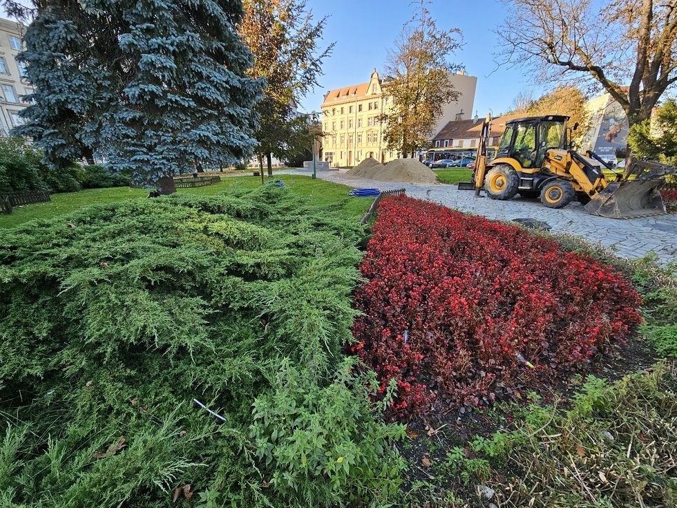 Świdnica: Historyczny układ zieleni