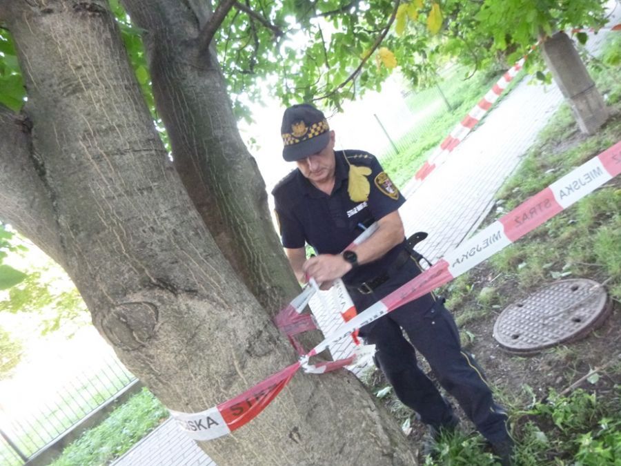 Świdnica: Mieszkańcy zgłaszają