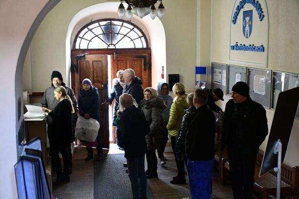 Świebodzice: Karma dla kotów