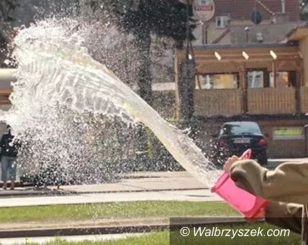 Świdnica/Kraj: Dziś Lany Poniedziałek