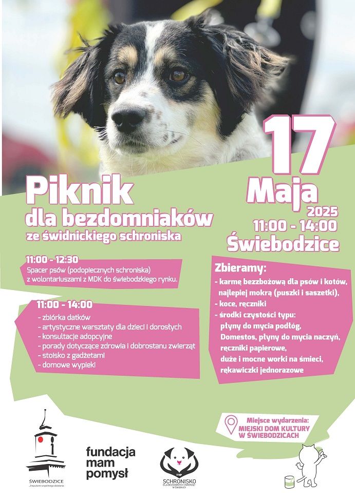 Świebodzice: Piknik dla bezdomniaków