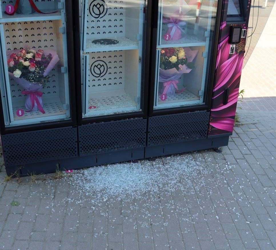 Świdnica: Romantyczny włamywacz