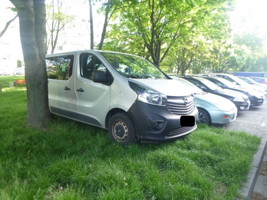 Świdnica: To tylko wybrane interwencje...