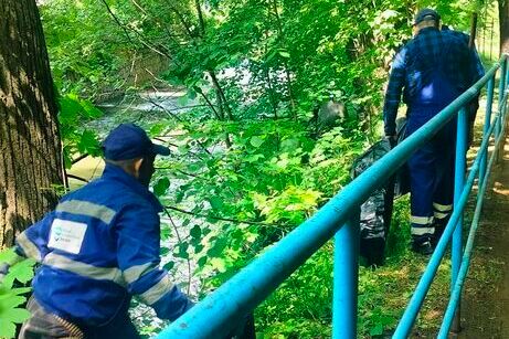 Świebodzice: Oczyszczają Pełcznicę