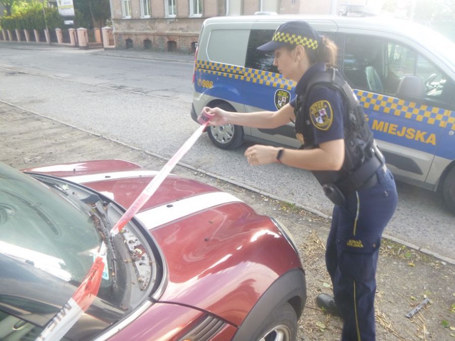 Świdnica: Pełny notatnik
