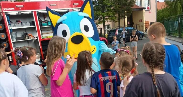 Kostrza: Po rodzinnym pikniku