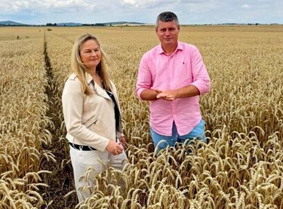 Gmina Żarów: Starostowie wybrani
