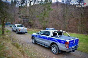 Świdnica/powiat świdnicki: Las to nie tor wyścigowy