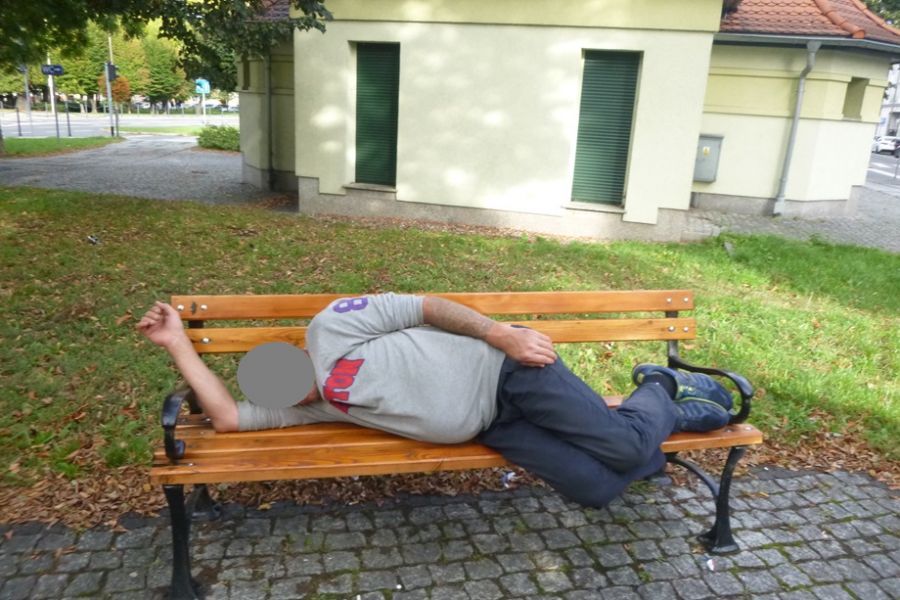 Świdnica: Są utrapieniem dla strażników