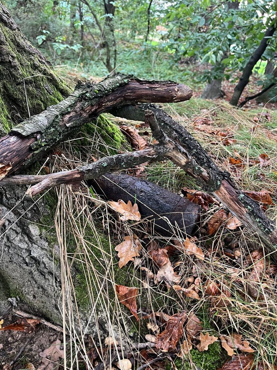 Mokrzeszów: Pocisk zamiast grzybów