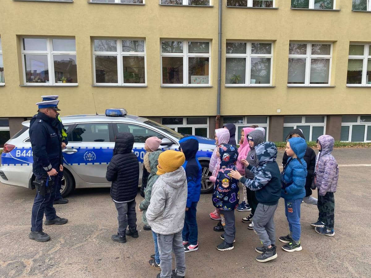 Świdnica: Edukacja w szkołach