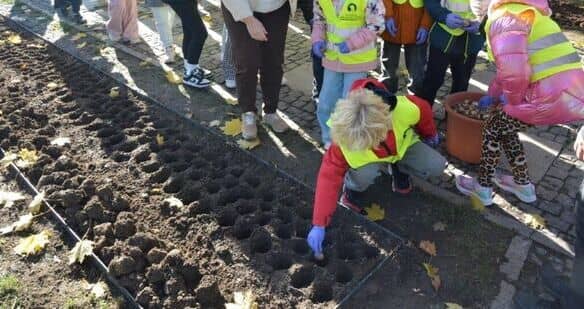 Strzegom: Pola Nadziei po raz drugi