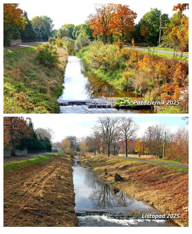 Gmina Dobromierz: Zakończono czyszczenie Nysy Szalonej