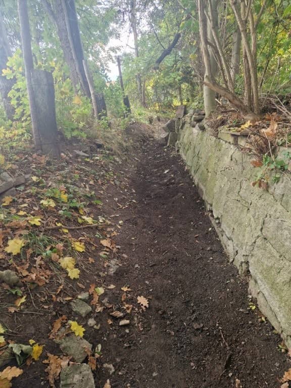 Gmina Dobromierz: Rowy melioracyjne po konserwacji