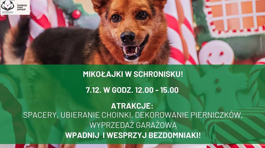 Świdnica: „Mikołajki z Bezdomniakami”