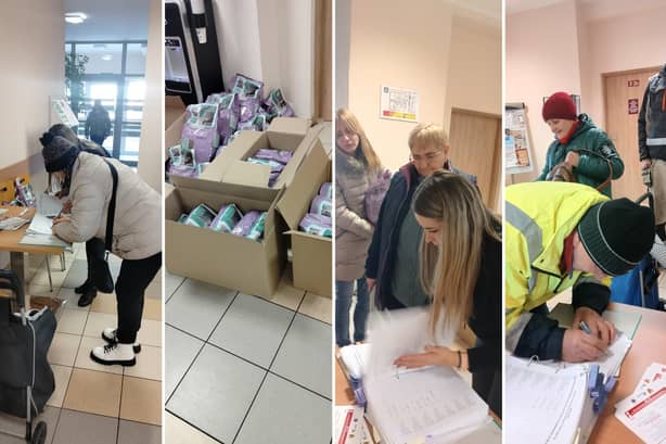 Świebodzice: Pomagają kotom