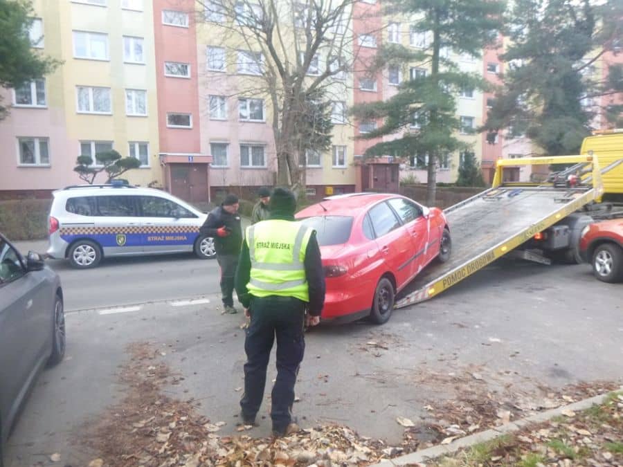 Świdnica: Czasem muszą interweniować