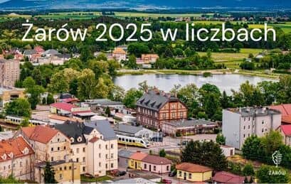 Gmina Żarów: Żarów w liczbach