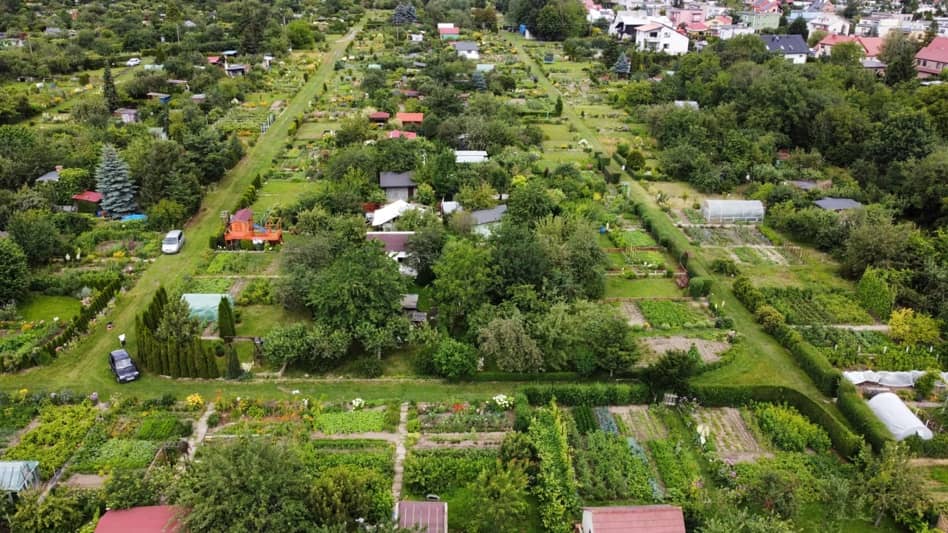 Świdnica: Ogrody z dotacjami