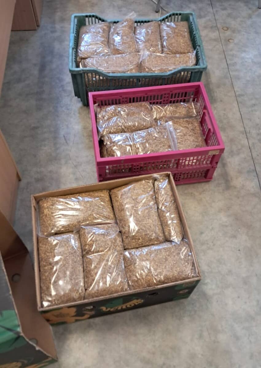 Jaworzyna Sląska: Tytoń bez akcyzy