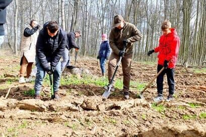 Żarów: Akcja sadzenia drzew