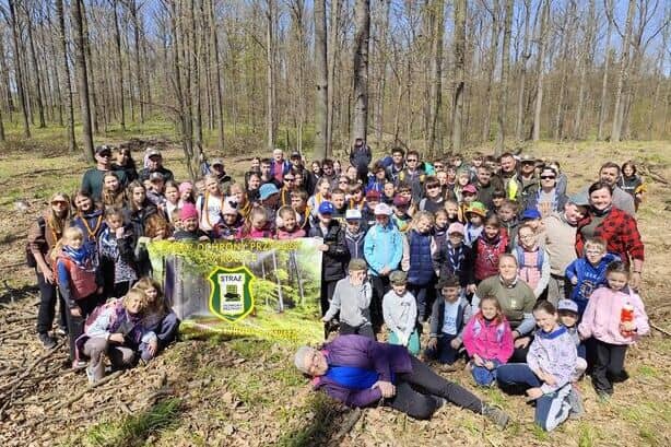 Świebodzice: Posadzili 1000 jodeł