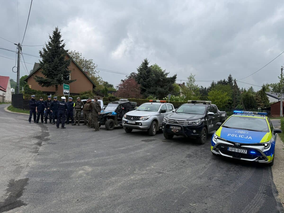 powiat świdnicki: Wzmożone kontrole leśne
